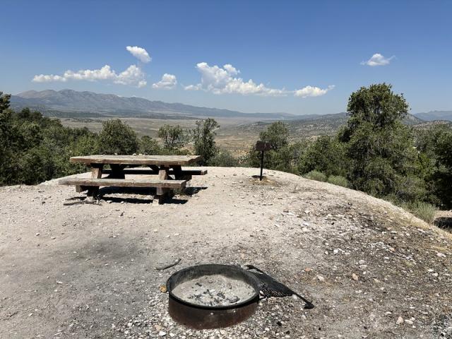 Picnic table and fire ring on a gravel area.