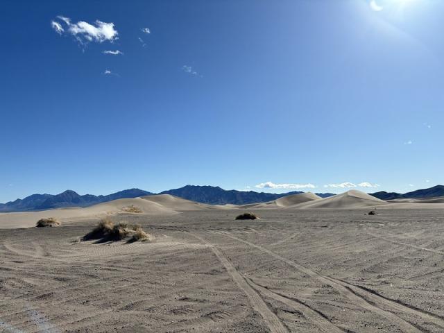 Vehicle tracks in a sandy expanse.