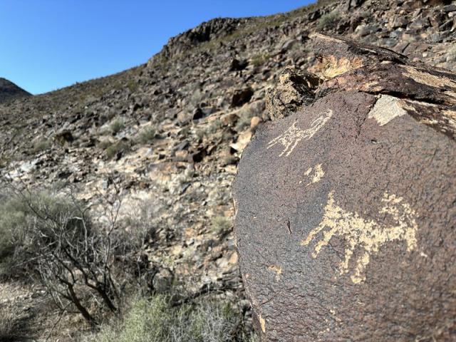 A clear rock art image on a dark boulder in a field of rocks.