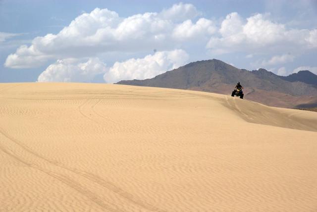 An OHV rider on a tan sand dune 