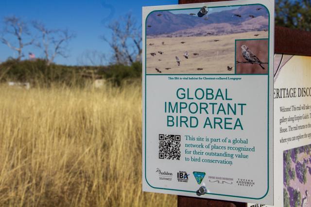 A photo showing a colorful sign stating Global Important Bird Area; This site is part of a global network of places recognized for their outstanding value to bird conservation. Tall yellow grasses are out of focus on the left side of the photo.