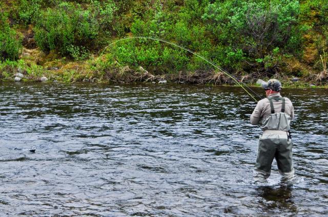 A photo showing a man wearing waders and standing knee deep in slow moving water while fly fishing. The shrub-covered bank on the other side of the river is green and the water is a dark greenish brown.