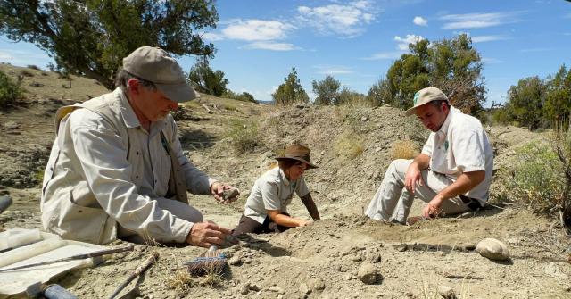 people digging by hand outdoors
