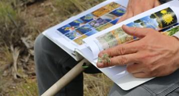 citizen scientist holding a plant specimen and comparing it to images in a workbook