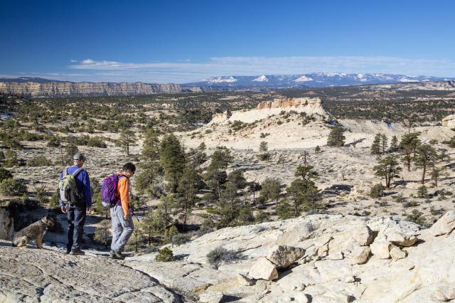 two people and a dog hiking on a mountain