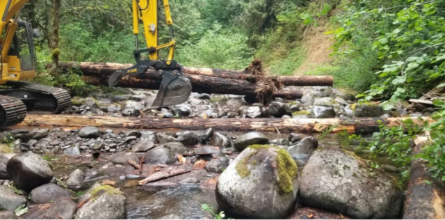 An excavator lifts large logs and places them horizontally across a rocky stream