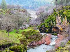 Sacramento River winding through a lush green landscape in the Sacramento River Bend Outstanding Natural Area.