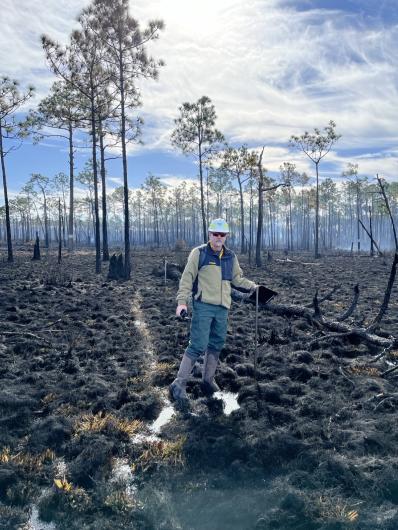 Firefighter stands in front of longleaf pine trees following a prescribed burn