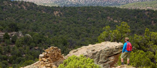 Hiker with a backpack looks over a scenic vista