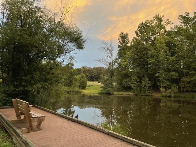 A photo showing a wooden bench sitting on a wooden fishing pier along a pond with a mixed hardwood forest in the background. The orange clouds are striking against the blue sky on this peaceful evening.