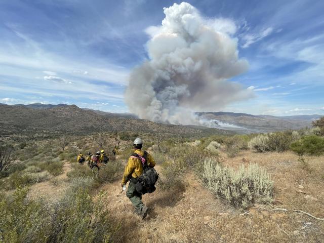 Firefighters walk through vegetation towards mountains in the foreground where a large cloud of smoke rises high into the sky. 