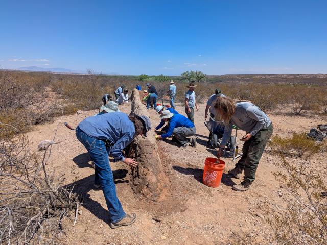 The group works diligently to cover one of the adobe walls with fresh mud. 