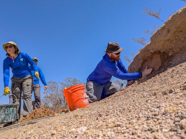 BLM employee Ralph Burrillo applies a fresh coat of mud to the adobe wall while BLM employee Theresa Condo hauls more mud. They are both wearing hats and blue long sleeve shirts.