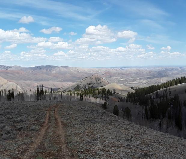 A landscape view of Miller Mountain. 