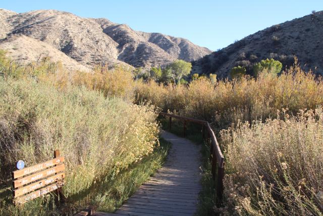 A trail weaves through tall native weeds as hills loom in the distance.