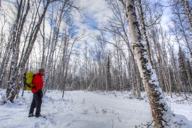 A prson in a hiking backpack and red coat hikes through a snowy field.