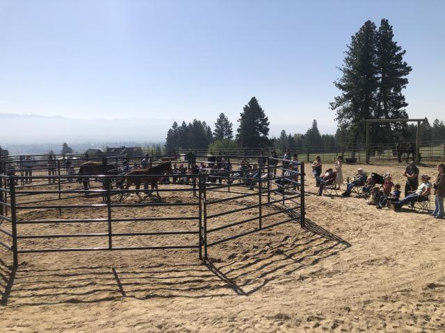 a photo of spectators watching a horse clinic outside of a round pen