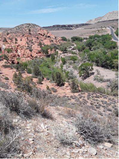Proposed ROW access site to Gunlock State Park