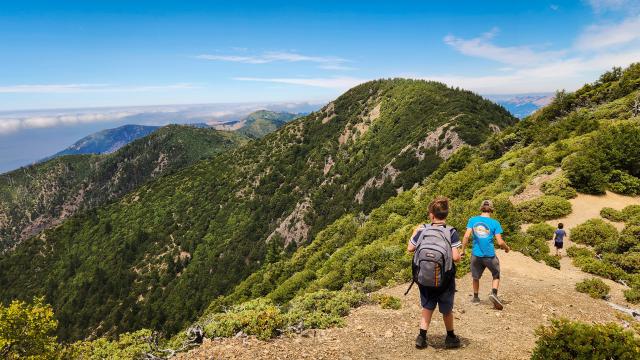 Three children walking on a high mountain trail.