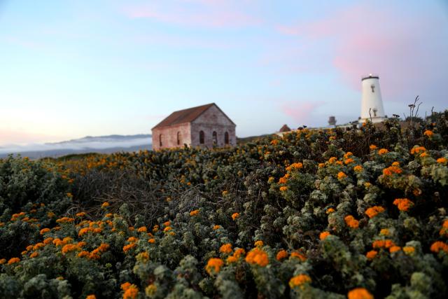 A field of wildflowers leads to an old builing and a lighthouse.