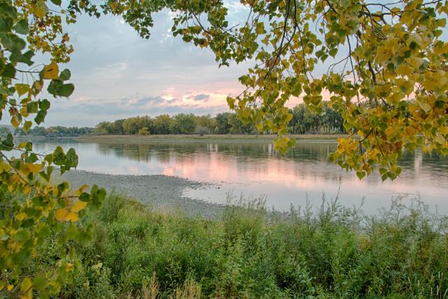 Pink light on serene river surrounded by trees and grasses.