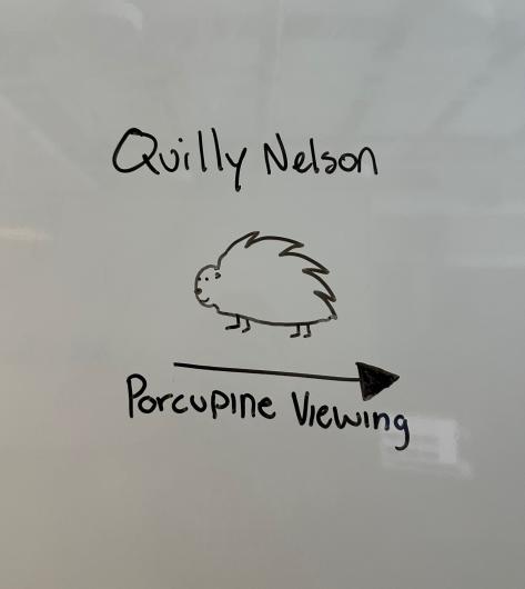 A cartoon drawing of Quillie