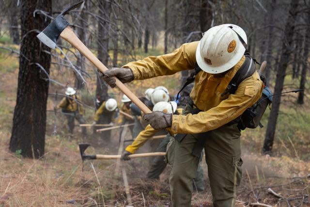 Wildland firefighter swinging axe at lumber.