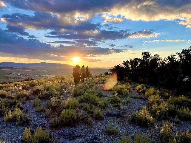Fire crew walking in the sunset.