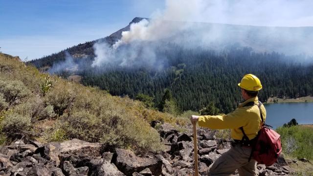 Wildland firefighter looking over a large W5 fire in California.