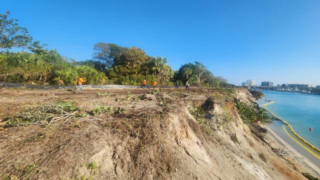 Workers in bright orange shirts clear vegetation along a sloped bank by a calm blue waterway under a clear sky.