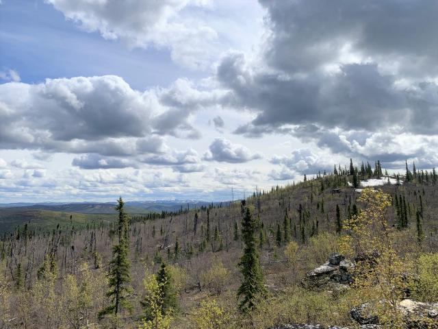 Image of a forested ridge in the spring during green-up. Only a few trees have leaves. 