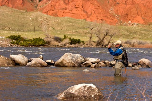 A person stands in the middle of a river fly fishing.