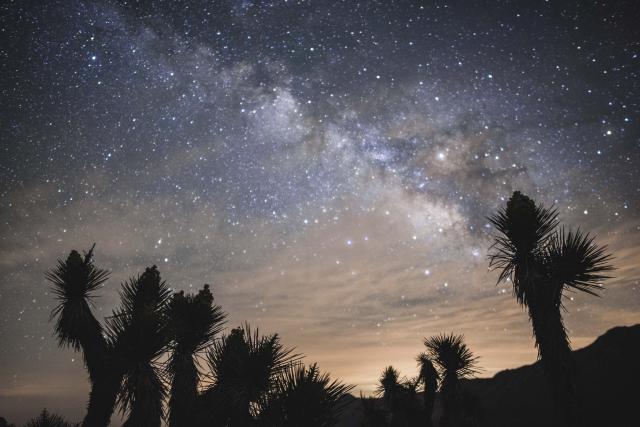 The Milkyway can be seen in the sky above shadows of cacti.