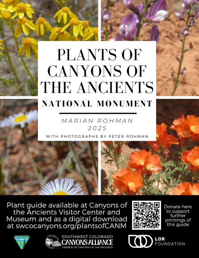 Plants of CANM Flyer