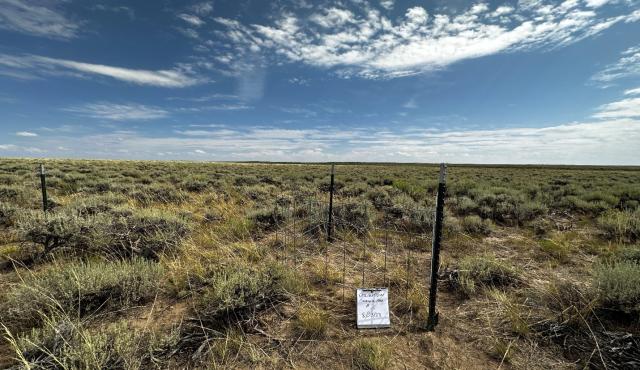a fenced area is shown on a sagebrush and grass landscape with blue skies