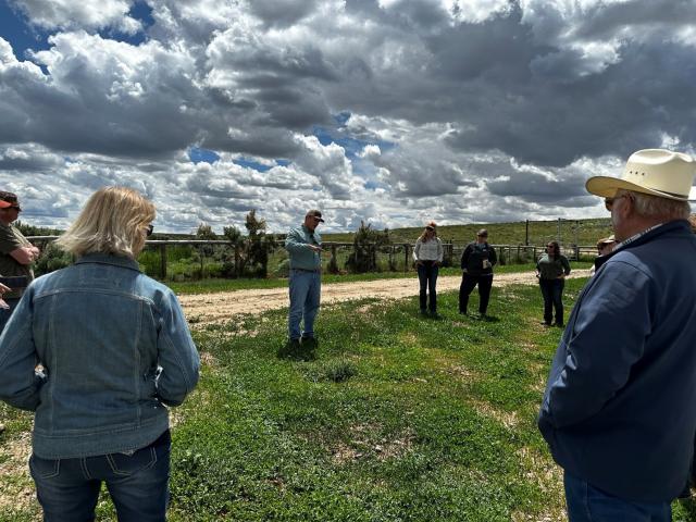 a group of people stand in a field under clouds and a blue sky