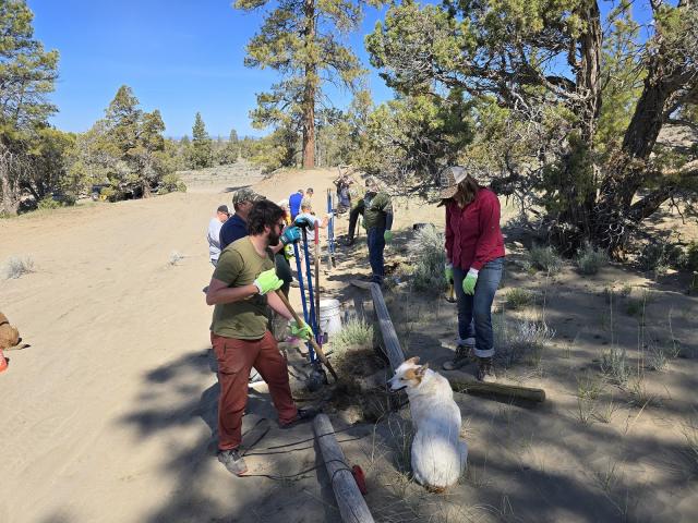 group of volunteers repairing fencing