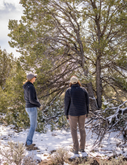 Two women look at a tree