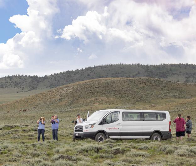students view the wild horses in the field at the Green Mountain Herd Area