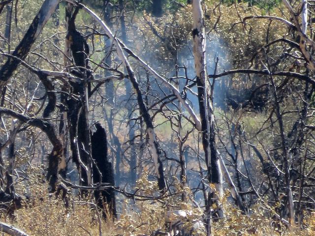 Light, individual smokes may be visible within the fire perimeter as crews continue to repair suppression lines.