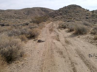 A dirt road into desert hills
