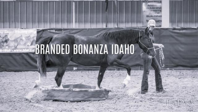 A competitor leads her trained wild horse through a Branded Bonanza Trail Challenge