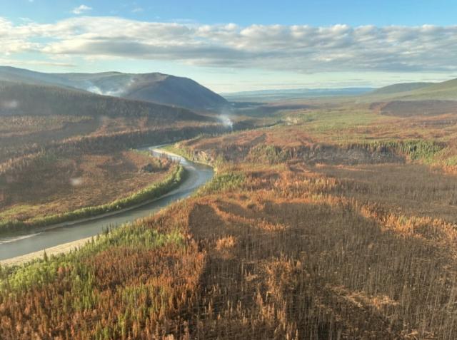 Photo of Birch Creek Wild and Scenic River winding through a burn.