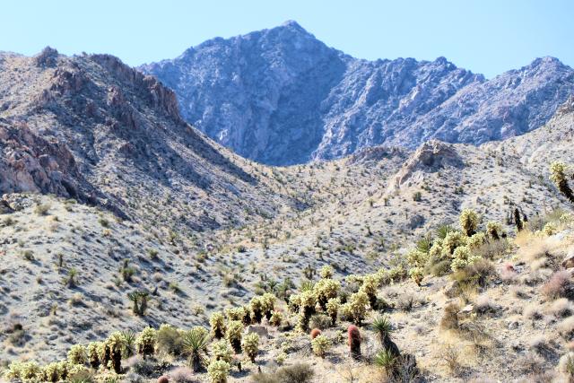 Ireteba Peaks Wilderness Area