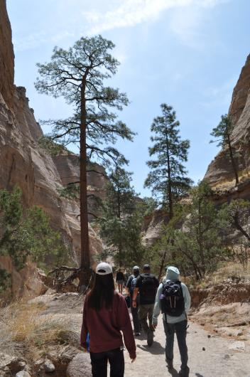 Hikers walk through a valley between two rocky cliffs with spares evergreen vegetation.