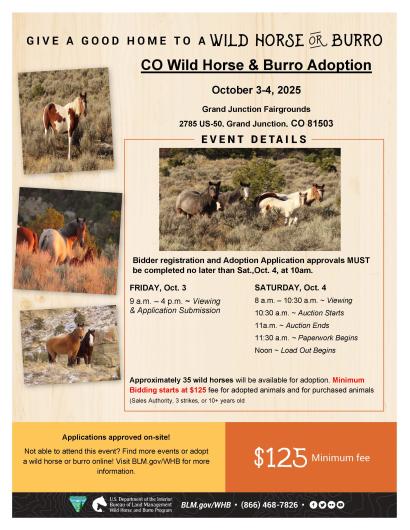 A flyer for a wild horse and burro adoption reads in part: CO Wild Horse & Burro Adoption, October 3-4, 2025, Grand Junction Fairgrounds  2785 US-50, Grand Junction, CO 81503.  Bidder registration and Adoption Application approvals MUST be completed no later than Sat.,Oct. 4, at 10 a.m. FRIDAY, Oct. 3 9 a.m. – 4 p.m. ~ Viewing & Application Submission; SATURDAY, Oct. 4 8 a.m. – 10:30 a.m. ~ Viewing 10:30 a.m. ~ Auction Starts 11a.m. ~ Auction Ends 11:30 a.m. ~ Paperwork Begins Noon ~ Load Out Begins. 