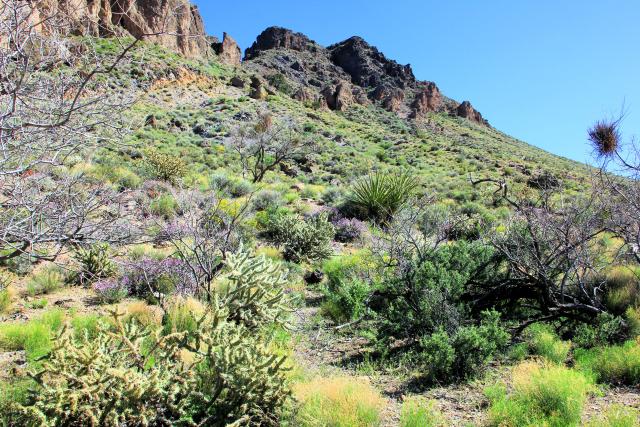 South McCullough Wilderness Area 