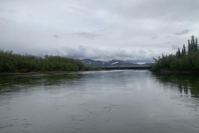 A river sits beneath an overcast sky, its smooth surface interrupted by little ripples. Green vegetation reflects on either side of the water, and rolling hills with patches of snow are visible in the distance.