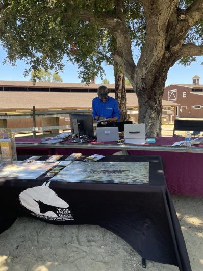 Andres Gonzalez handles paperwork at the wild horse and burro satellite adoption. 