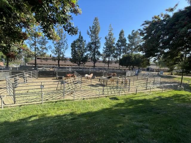 View of the corrals at the Industry Hills Expo Center